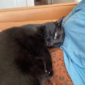 Welcome to my closet!